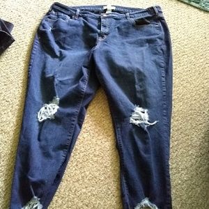 Womens lane bryant size 26r